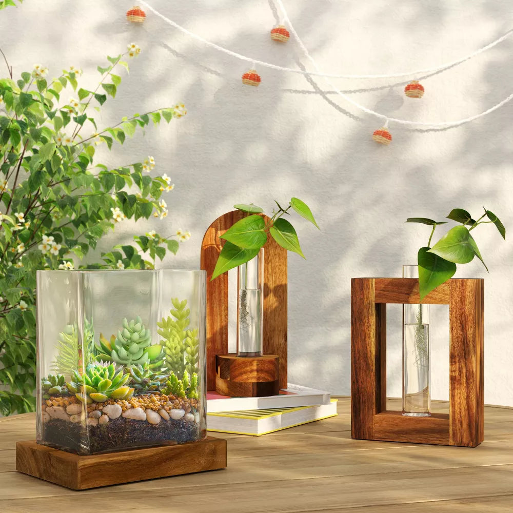 Propagation Vessel Rectangle with Wood Base